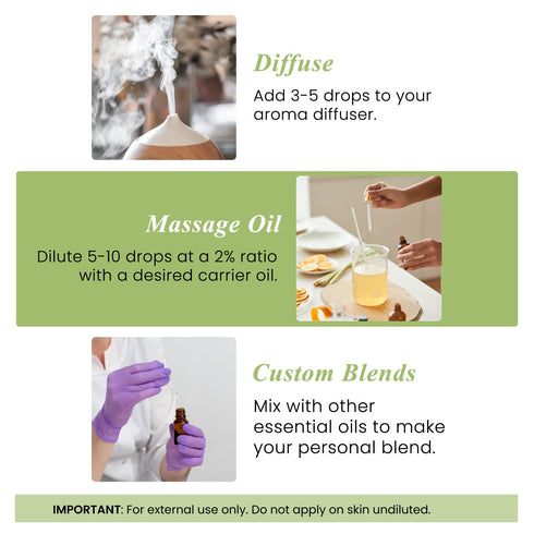 Set 4 Oz, 100% Handcraft Blends Peppermint, Eucalyptus, Lavender Essential Oil - Fl. Pure and Natural, Therapeutic