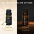 Set 2 0.33 oz Apex Starter Waterless Aromatherapy Diffuser + Fragrance Oils | Cold Air Nebulizing | Cabana & My Way fl