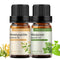 Marjoram Honeysuckle Essential Oil Set - 100% Pure Oils for Diffuser, Humidifier, Massage, 2 x 10ml
