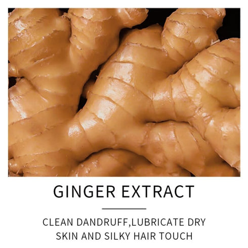 Ginger Hair Treatment Oil, Hair Growth Serum for Hair Loss, Enhance Elasticity and Toughness, Essential Oil for All