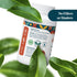 Pattern Wellness Resveratrol Supplement with Fisetin - Natural Antioxidant Booster - Whole Body & Heart Health, Healthy