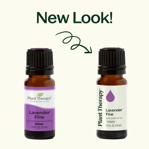 Plant Therapy Lavender Fine Essential Oil, 10 mL (1/3 oz), 100% Pure, Therapeutic Grade