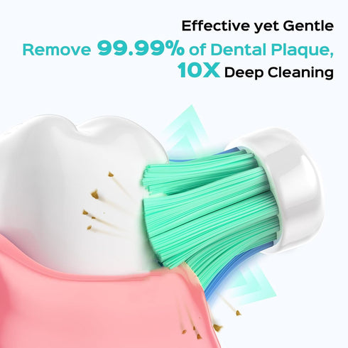 Ipetboom 6 C-40 Pcs Electric Toothbrush Heads Sonic Electric Head Replacement Compatible with Toothbrush - White