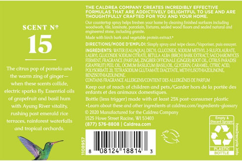 Caldrea Multi-surface Countertop Spray Cleaner, Made with Vegetable Protein Extract, Ginger Pomelo Scent, 16 oz