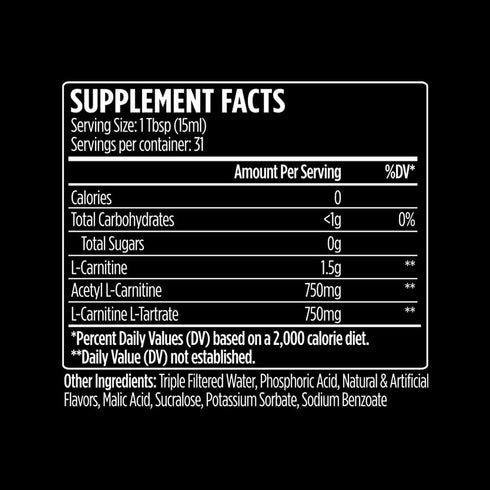 L-Carnitine 3000 Liquid | 3000 mg Carnitine Supplement | Zero Calorie Zero Sugar Keto Friendly for Men and Women –