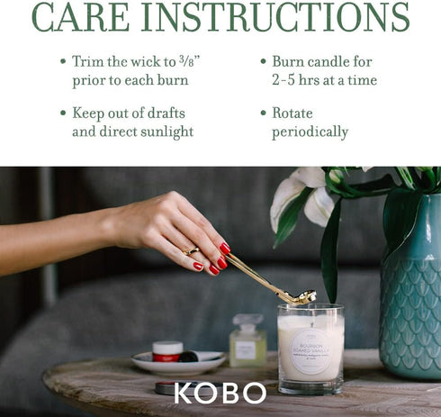 KOBO Wild Tomato Vine Candle, 9 oz | Plantable Box Collection | 100% Pure Soy Wax | Hand-Poured in USA
