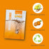 Dazz Bathroom Cleaner Starter Kit, 1 Reusable Spray Bottle & 2 Refills, Eco-Friendly, Non-Toxic, Safe for Kids & Pets