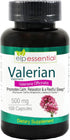 Organic Valerian Root Capsules - 500mg Herb Extract Supplement - 100 Pills for Relaxation and Sleep Support