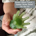 KINTEGOOD 8 Large Size Octopus Head Massager Scalp Scratcher Deep Massage Tools, Tentacles Acupressure Gua Sha Manual