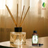 SVA Organics Fir Balsam Essential Oil 1oz (30ml) - Premium Oil with Dropper for Skincare and Aromatherapy