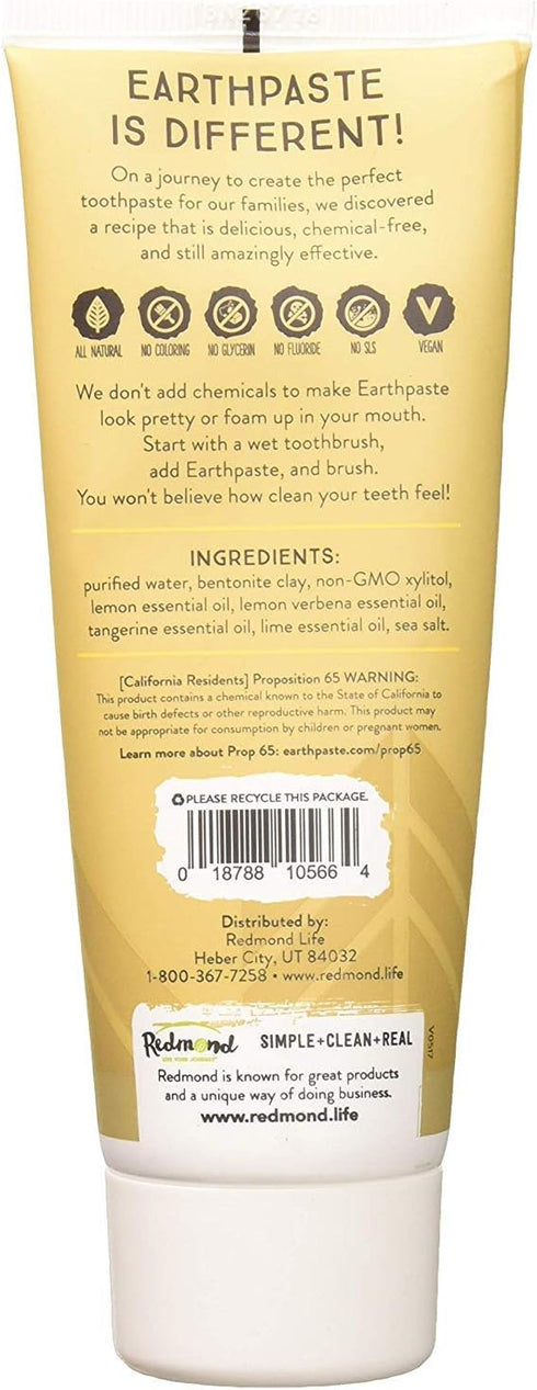 REDMOND REAL SALT 4 OZ Lemon Twist Earthpaste