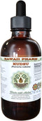 Hawaii Pharm Kudzu Alcohol-Free Liquid Extract - 2 oz Organic Herbal Supplement