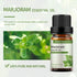 Marjoram Honeysuckle Essential Oil Set - 100% Pure Oils for Diffuser, Humidifier, Massage, 2 x 10ml