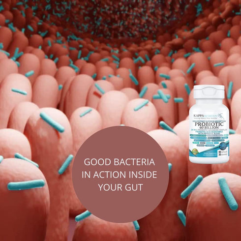 KAPPA NUTRITION Probiotic 60 Billion CFU - 14 in 1 Probiotic for Women, Men & Adults, Natural, Shelf Stable