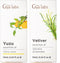 Gya Labs Yuzu Essential Oil for Diffuser & Vetiver Essential Oil for