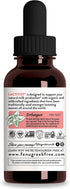 Legendairy Milk Lactivist Drops, Breastfeeding Supplement to Increase Breast Milk Supply, Organic Torbangun for Lactation, Made in USA, Alcohol Free, 2 Fl Oz