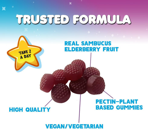Children's Daily Immune Support Gummies, Real Elderberry + Vitamin C & Zinc for Healthy Immune System, 120 Gummies