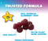 Children's Daily Immune Support Gummies, Real Elderberry + Vitamin C & Zinc for Healthy Immune System, 120 Gummies