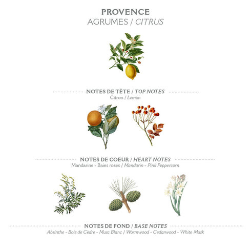 Panier des Sens Provence Hand & Body Lotion for Dry Skin - 8.45 Floz Hydrating Body Cream with Shea Butter