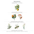 Panier des Sens Provence Hand & Body Lotion for Dry Skin - 8.45 Floz Hydrating Body Cream with Shea Butter