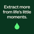 Plant Therapy 8 oz Tea Tree Body Lotion with Aloe and Shea to Hydrate and Nourish Skin with Botanical Ingredients