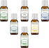 Respiratory Essential Oil Set 6-10 ml Pack Variety Kit 100% Pure Therapeutic Grade for Sinus, Aromatherapy Humidifier Diffuser.