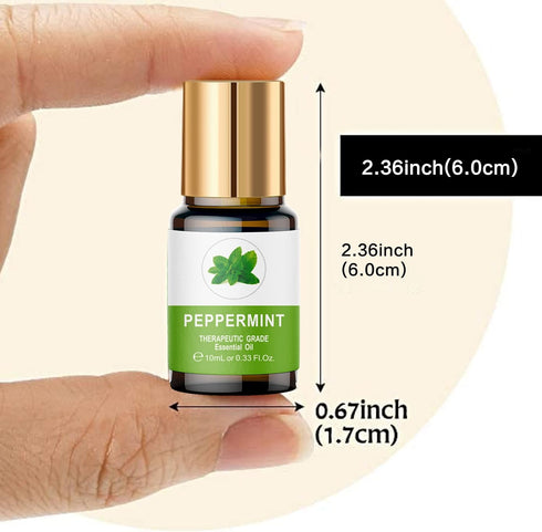 KOURUILIFE Set, 100% (12) Essential Oils Organic Essential Oil, Lavender, Ylang Ylang, Tea Tree, Eucalyptus Scented