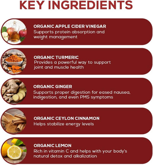 Paleovalley Apple Cider Vinegar Complex - Superfoods Turmeric, Ginger, Ceylon Cinnamon, 84 Vegetable Capsules
