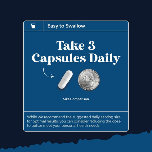 Balancing Berberine Plus 1200mg Per Serving Complex - Antioxidant Berberine with Ceylon Cinnamon, 90 Capsules for Heart