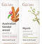 Australian Sandalwood Essential Oils for Diffuser & Myrrh Oil for Skin Set
