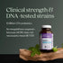New Chapter Probiotic All-Flora, 30 ct for Advanced Digestion & Complete Gut Health, 100% Vegan, Non-GMO