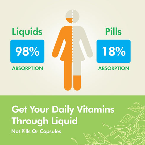 Tropical Oasis - Brain Power Liquid Nootropic Supplement for Mental Clarity, Focus, and Memory Retention (Unflavored,