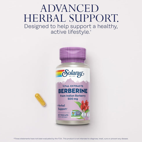 SOLARAY Berberine 500mg Supplement for Healthy Lifestyle - Vegan, Non-GMO, 60-Day Guarantee, 60 VegCaps