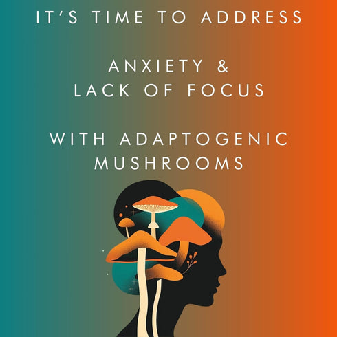 BRAIN WAVE Superfood Mushroom Gummies - Daily Multi Mushroom Supplement - Lions Mane, Reishi, Cordyceps, Turkey Tail,