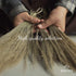SWEEPY Light - Indoor Grass Broom with Long Handle for House, Garage, Office, Kitchen