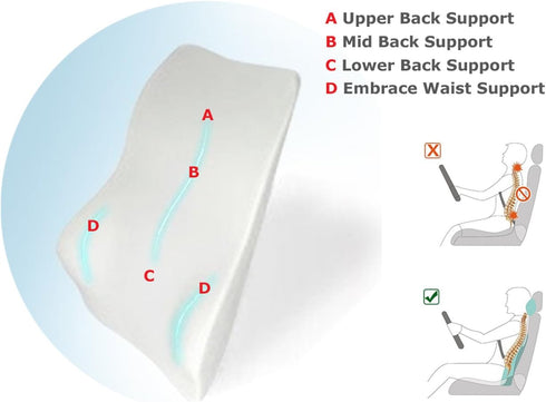 Tektrum Orthopedic Entire Back Support - Full Lumbar Cushion for Car & Headrest Neck Pillow Kit