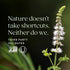 New Chapter 100% 30 All-Flora Probiotic Menopause Balance, Ultra-Concentrated Probiotics for Women with Black Cohosh