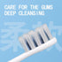 WSYKC 4 USB Rechargeable Toothbrush, Electric Toothbrush, One Electric Handle, Replacement Brush Heads, Meet One-Year