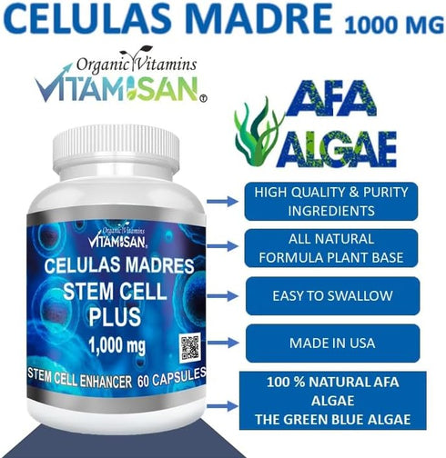 Celulas Madres 60 Capsules, Vitamisan 1000 mg Aphanizomenon Flos-aquae Blue Green Algae AFA Stem