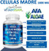 Celulas Madres 60 Capsules, Vitamisan 1000 mg Aphanizomenon Flos-aquae Blue Green Algae AFA Stem