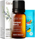 Gya Labs Juniper Berry Essential Oil for Diffuser - 0.34 Fl Oz - 100% Pure Natural Oil for Skin & Candle Making
