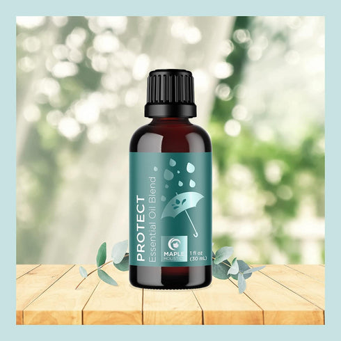 Set Maple Holistics Essential Oil - Breathe Protect and Defend Purifying Essential Oil Blends for Diffuser Aromatherapy
