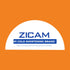 Immune Gummy 70 Count Zicam Daily Support, Supplement, Zinc, Vitamin C and Vitamin D, Citrus Strawberry Flavor