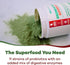 GOBIOTIX Super Greens Powder with Organic Spirulina, Superfood Supplement for Digestive Health, 30 Servings