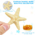 OBTANIM 2 Pcs Starfish Hair Clip, Resin Beach Sea Star Hair Pins for Women and Girls