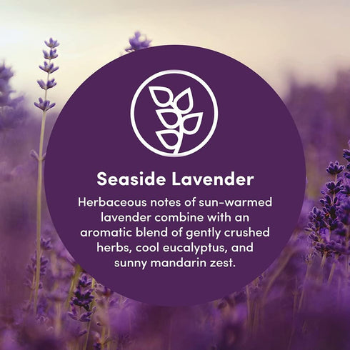 Clean Revolution Multi Surface Cleaner Refill, Non-Toxic Eco-Friendly Plant-Based, Seaside Lavender, 128 Fl Oz