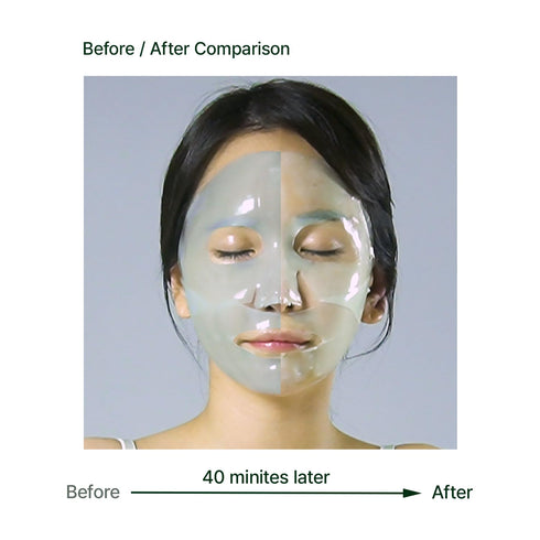 WELLDERMA Premium Cica Mask Treatment, 4 Sheets Hydrogel for Sensitive Skin, Firming & Soothing Face Care