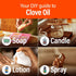 H’ana Clove Oil for Teeth and Gums, 100% Pure Natural Clove Essential Oil for Hair, Skin, Toothaches, 1 Fl Oz