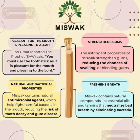 Pack 5 Sticks - of Natural Toothbrush Sticks with Vacuum Holder | Sewak Sticks for Teeth | Authentic Peelu Wood