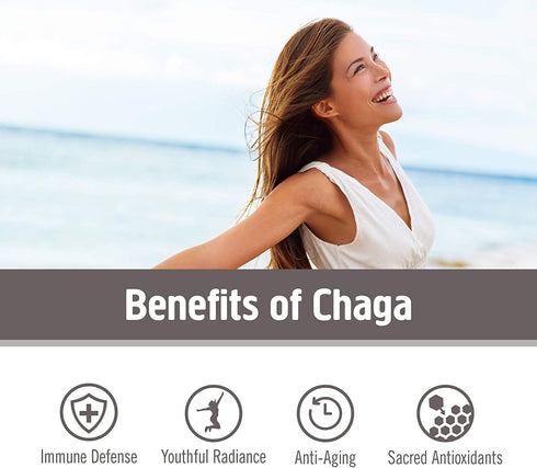 OM MUSHROOM SUPERFOOD Chaga Mushroom Capsules Supplement - Antioxidants & Immune Support, 90 Count